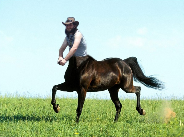 centaur.jpg